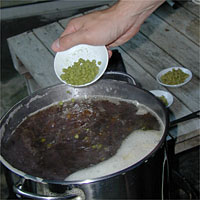 Hand adds hop pellets from a small bowl into a large pot of boiling liquid.