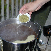 Hand adds green hop pellets to a boiling pot outdoors.
