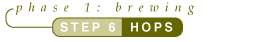 Tutorial Step 6