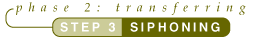 Tutorial Step 3