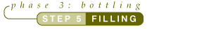 Tutorial Step 5
