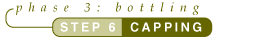 Tutorial Step 6